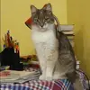 Отзыв от Ангелина Майорова